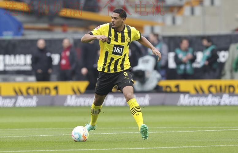 凯发体育网页版全新升级体验